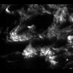 Moretusr nel polo Sud