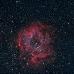 Nebulosa ad emissione attorno all'ammasso NGC 2237. Autore Alessandro Speranza