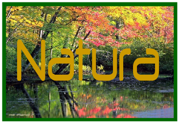 onlinelogomaker-012014-1551012014-1603012014-1613